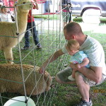 Unwanted Attention at a Petting Zoo
