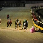 Forcing Greyhounds to Race