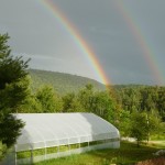 Rainbow Over the Greenhouse!